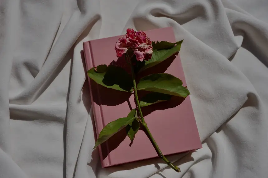 a pink journal