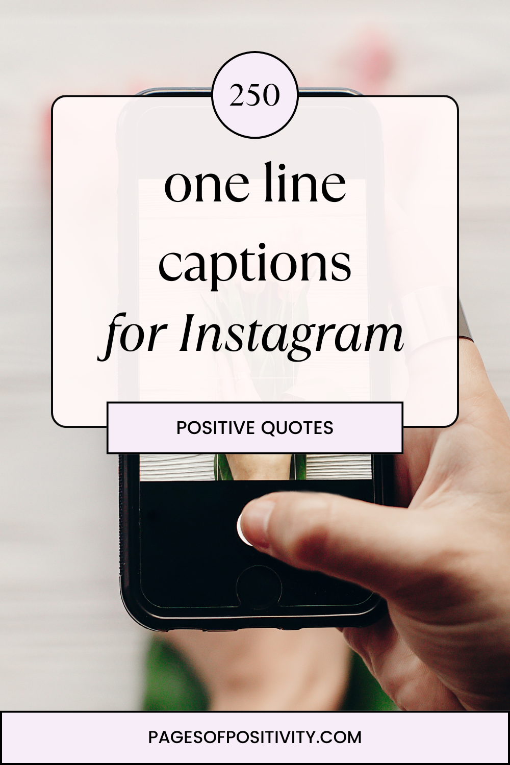 250 Best One Line Captions for Instagram to Use This Year