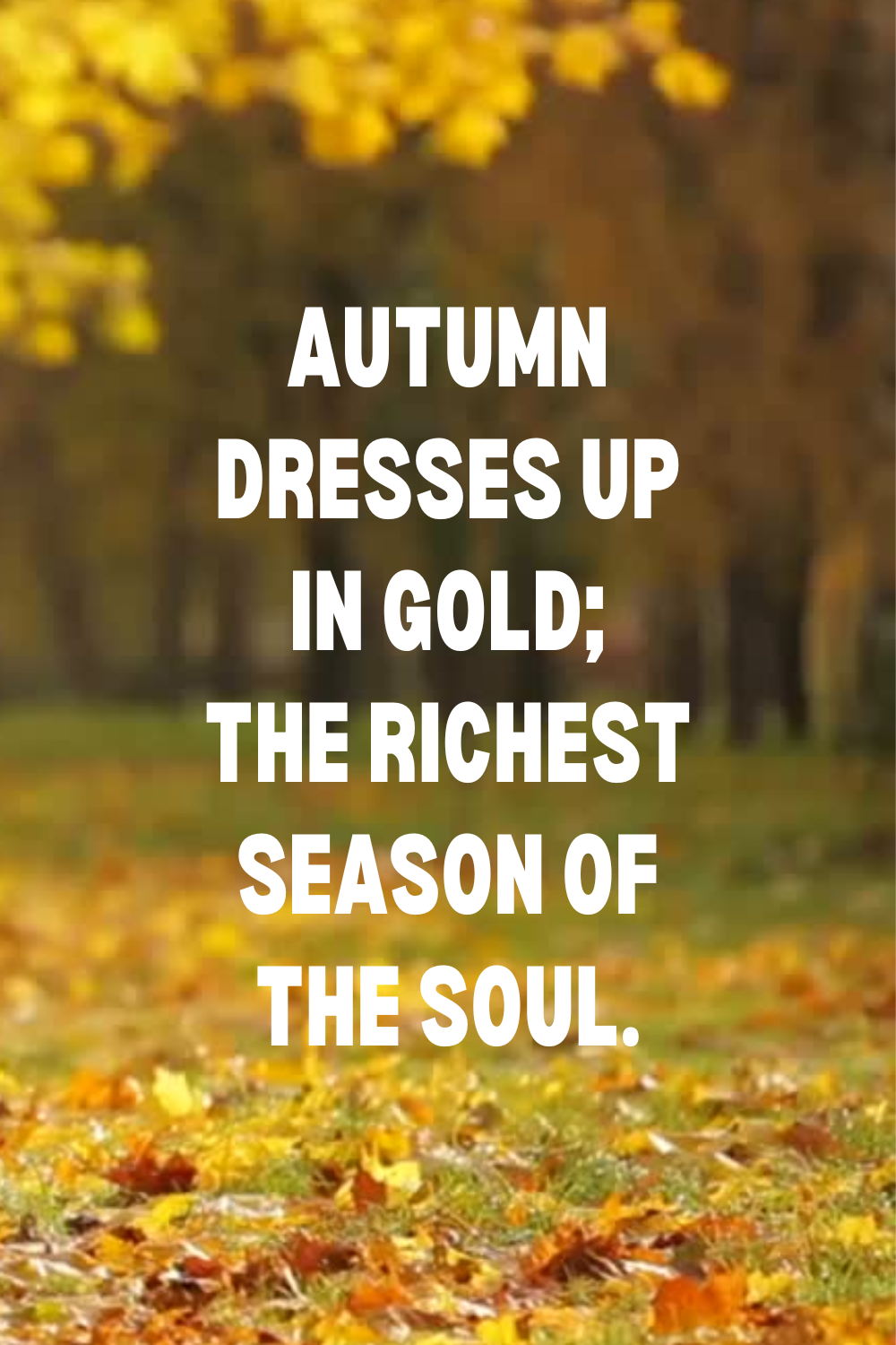 115 Cozy Fall Quotes to Celebrate the Season