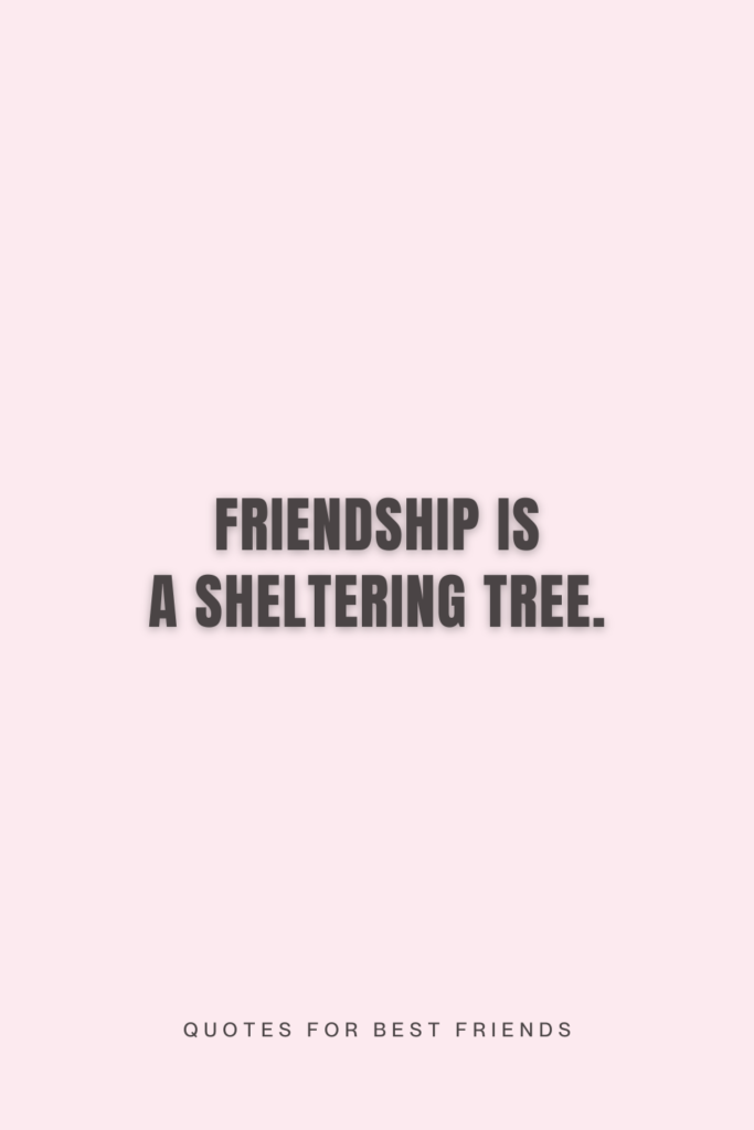 a quote for best friends