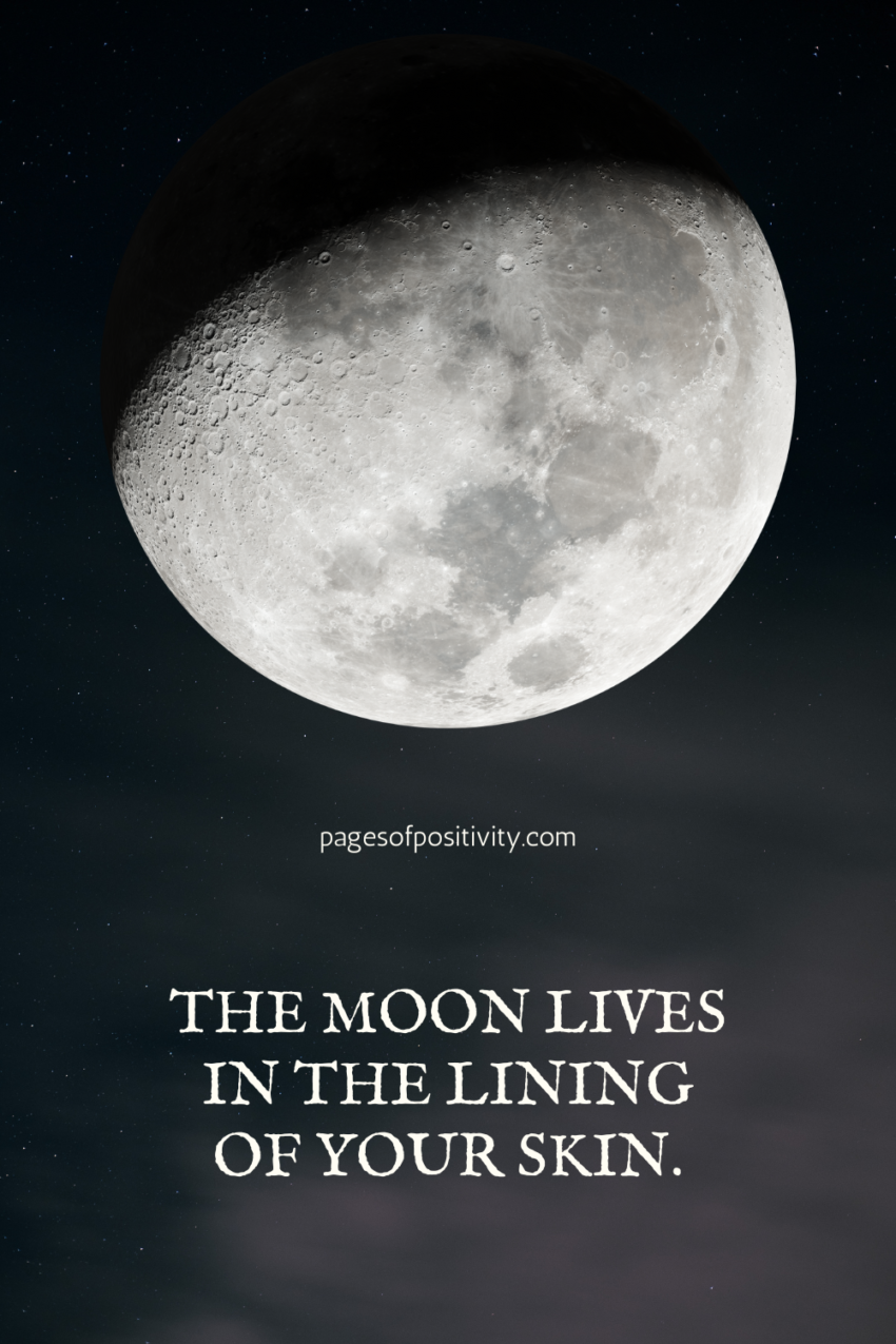 Rustic Moon Quote 150 Magical and Mysterious Moon Quotes That You Must Read