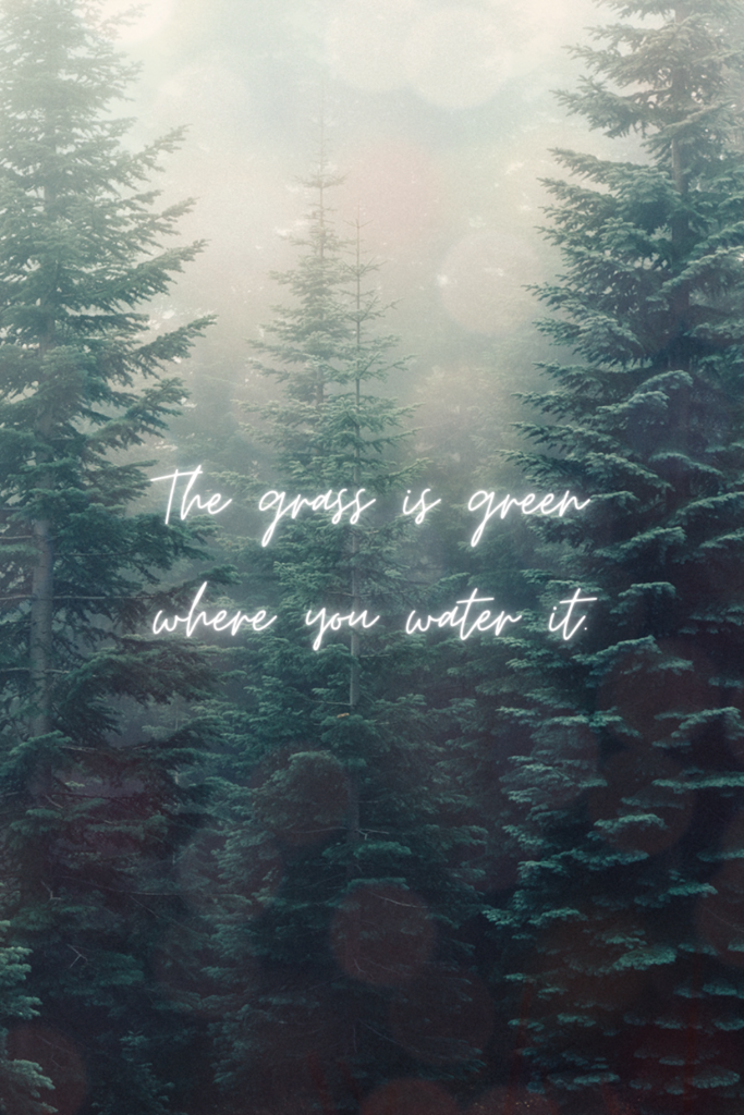 a tattoo quote