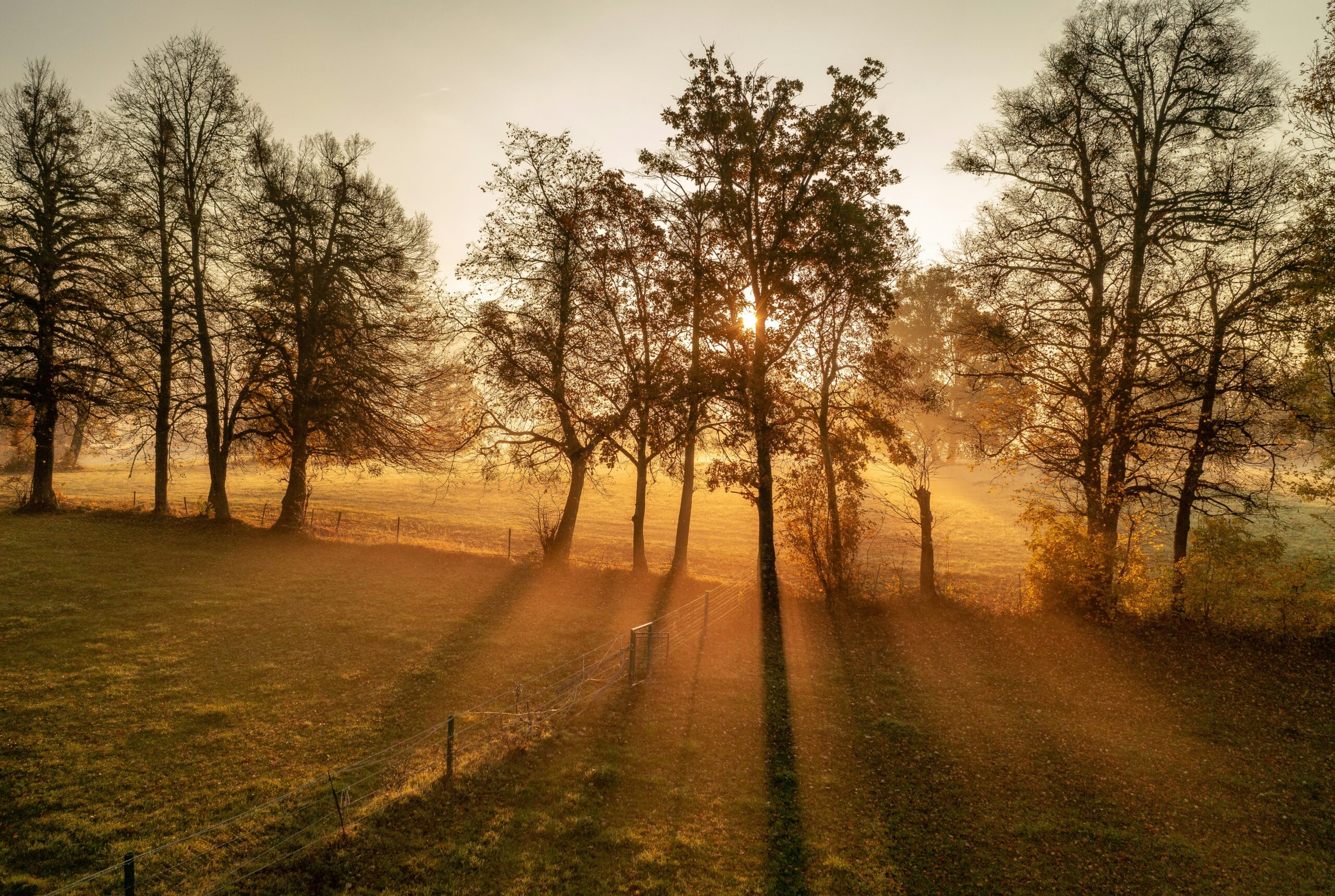 a featured image for a blog post about early morning quotes