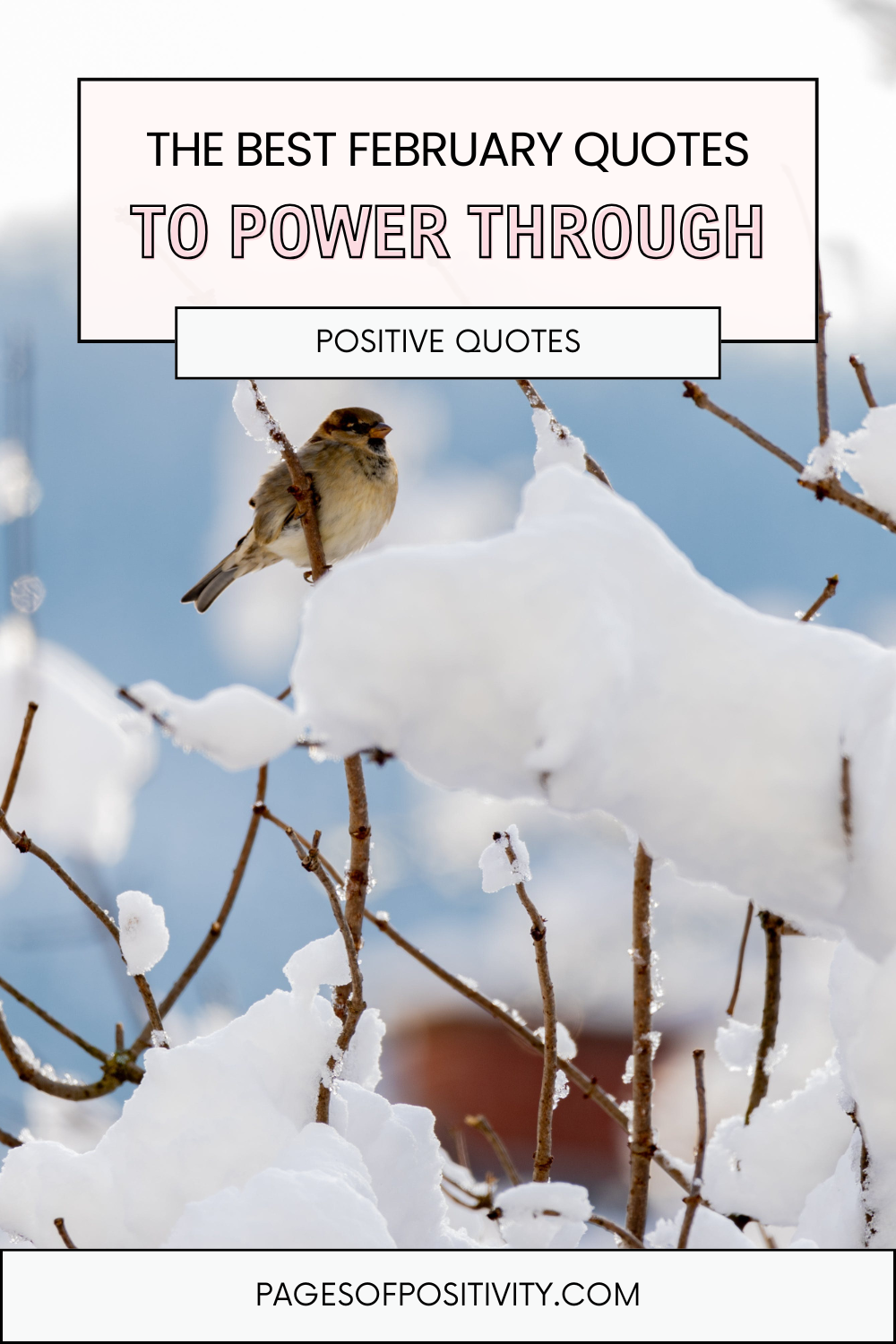 89 Powerful February Quotes You’ll Keep Coming Back to