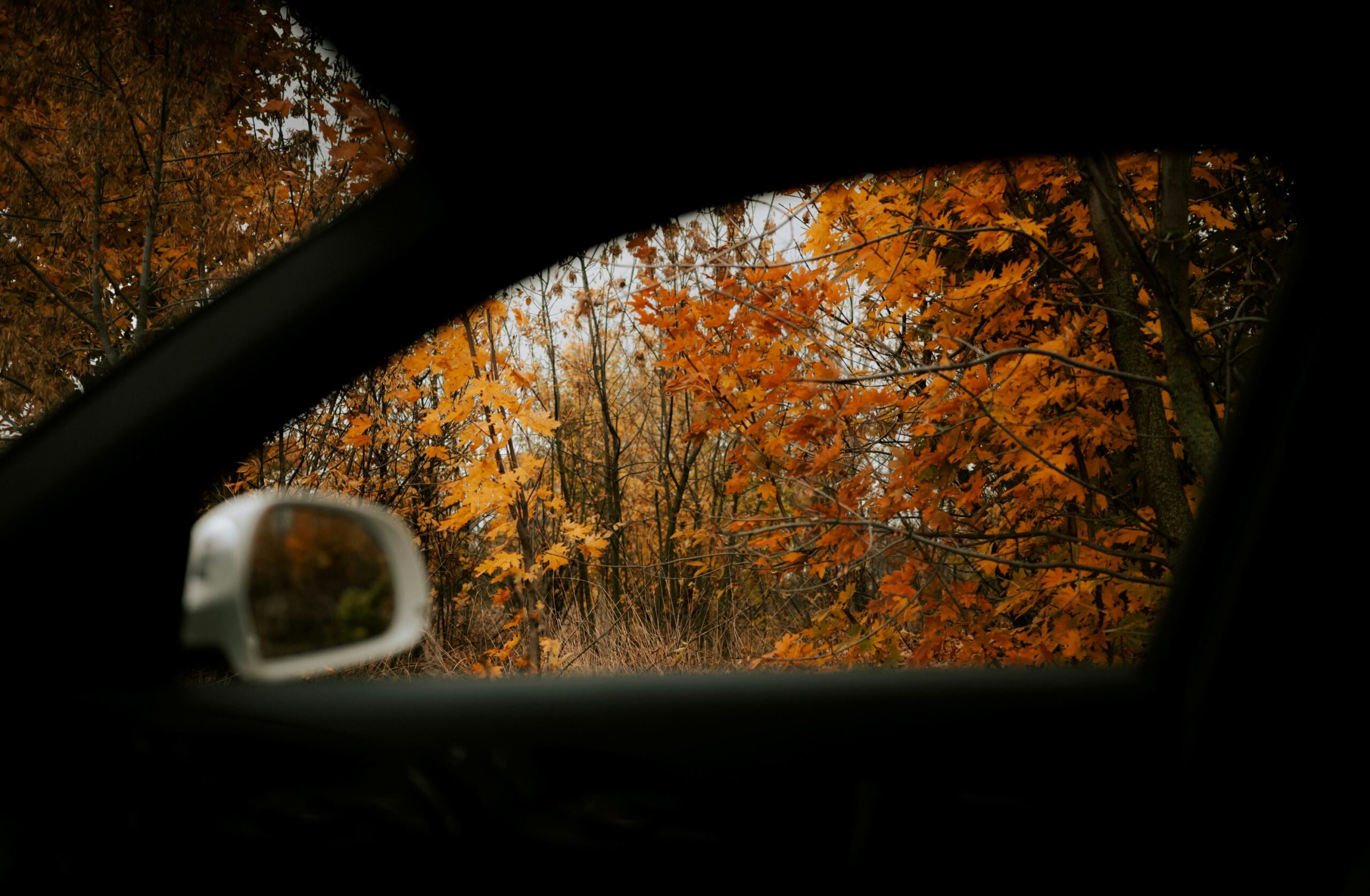 fall aesthetic photo