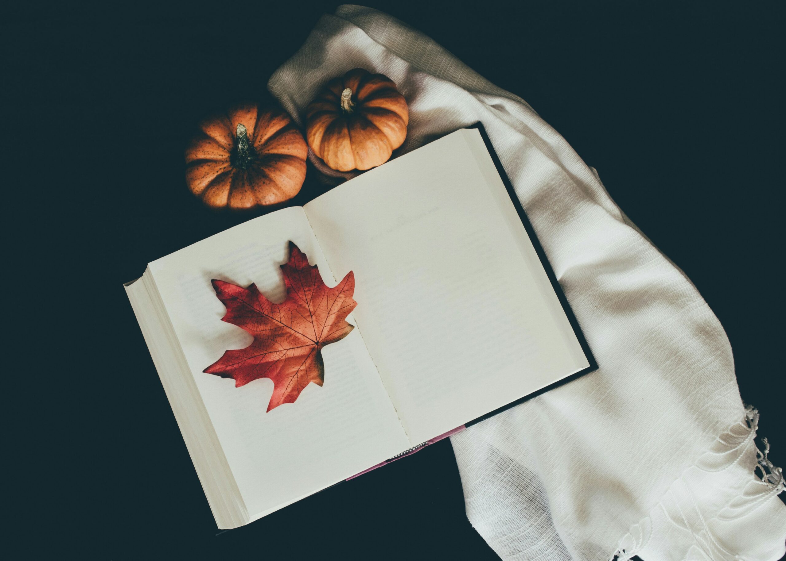 a featured image for a blog post about fall journal prompts
