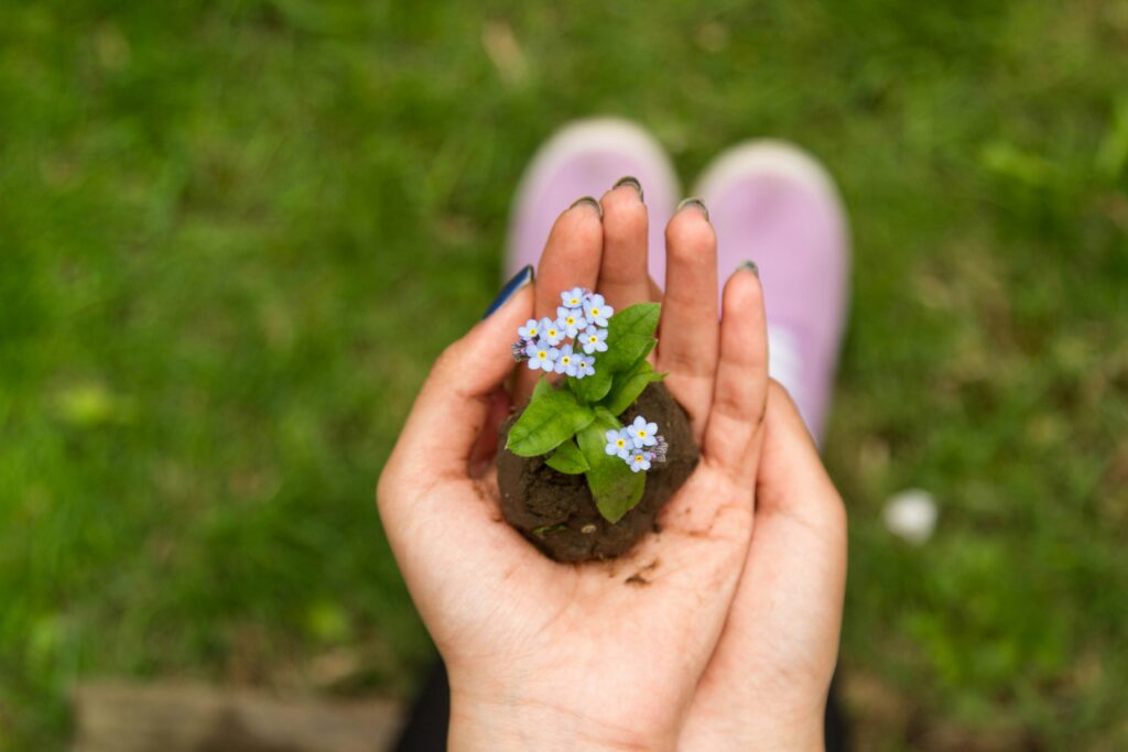 spring aesthetic photo