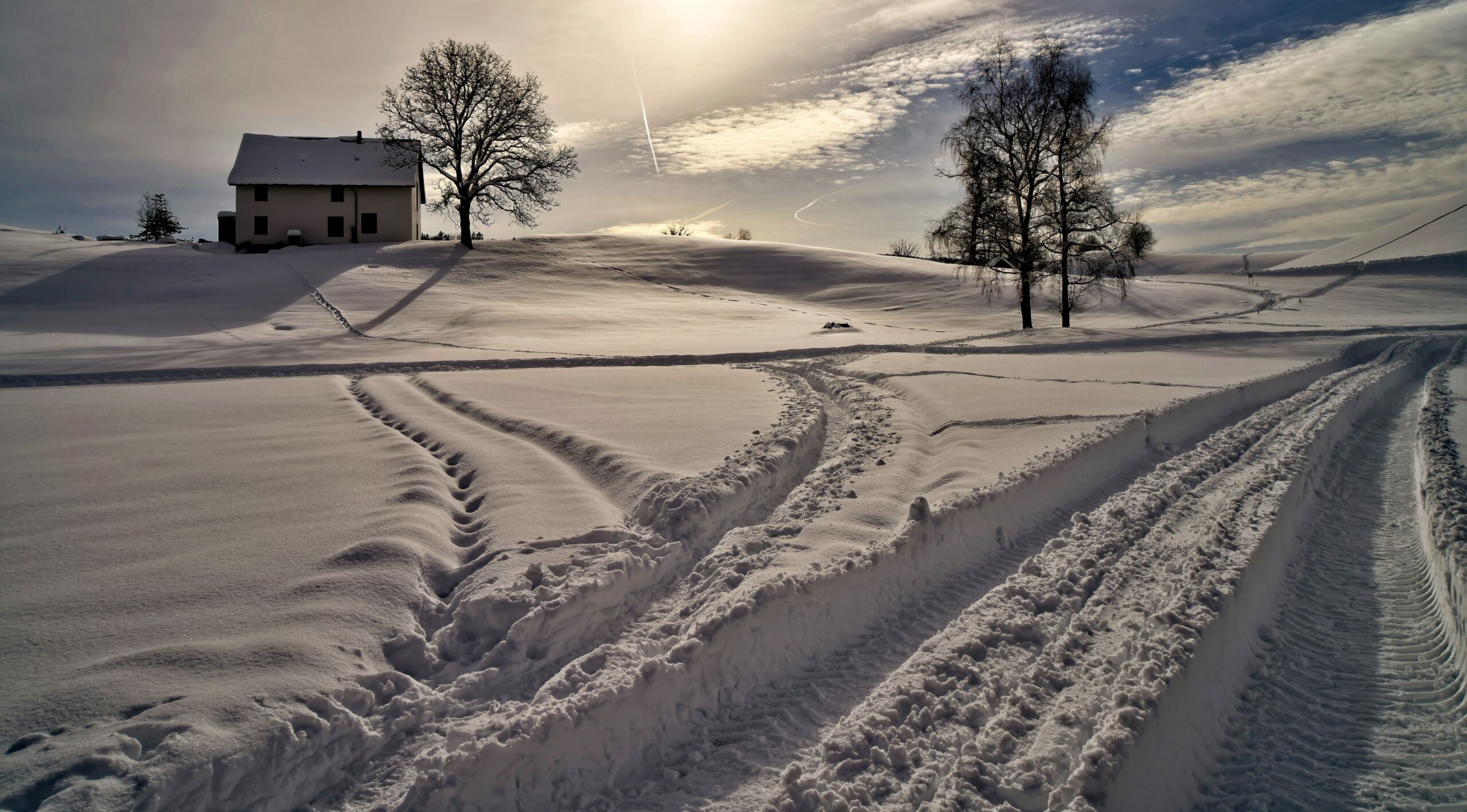 winter aesthetic photo