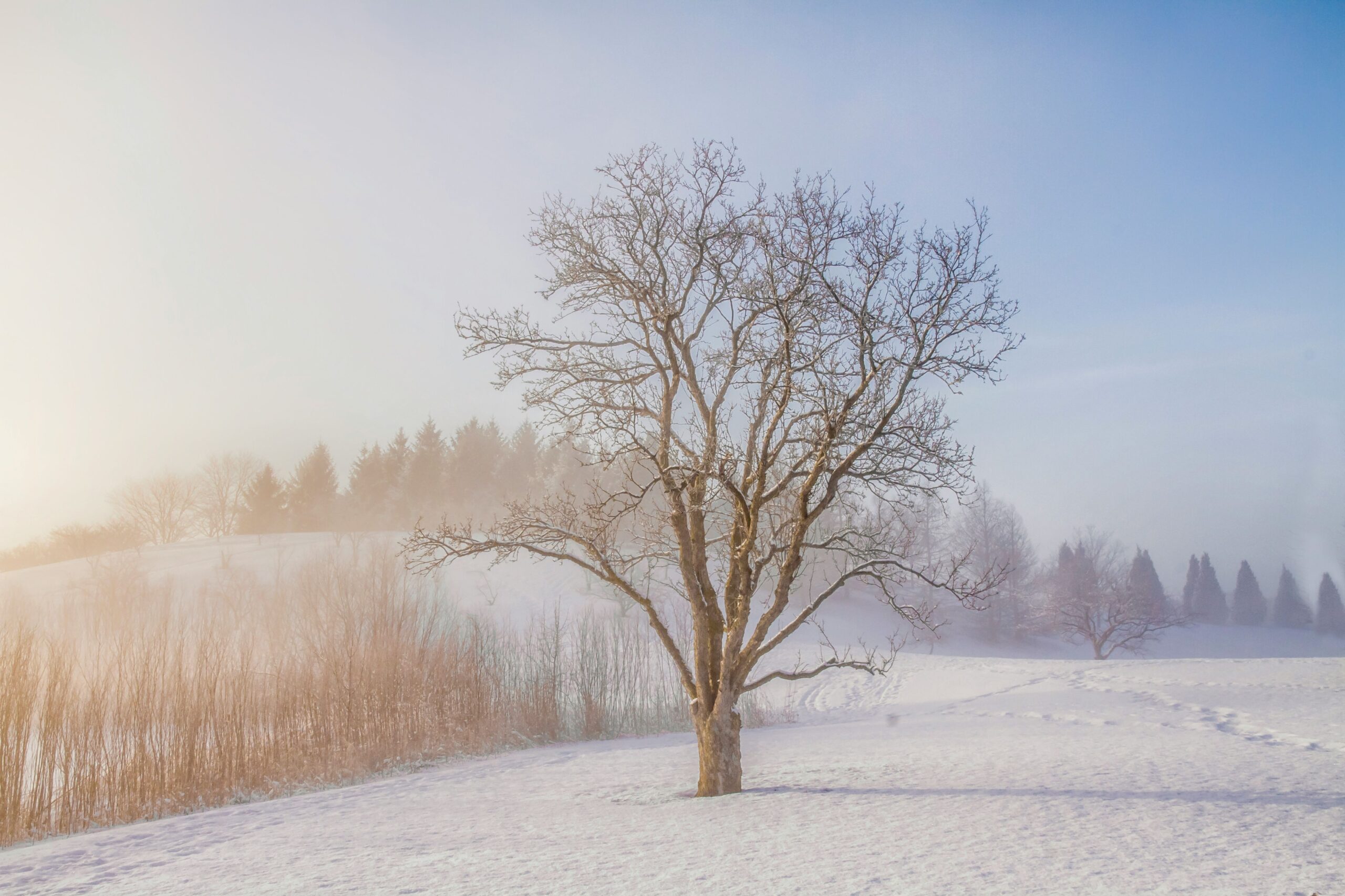 winter aesthetic photo